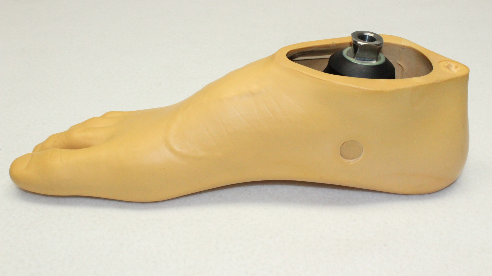 TRULIFE Kinetic A Edge Prosthetic RIGHT Split Toe Foot Pyramidal Adapter ~ Sz 28