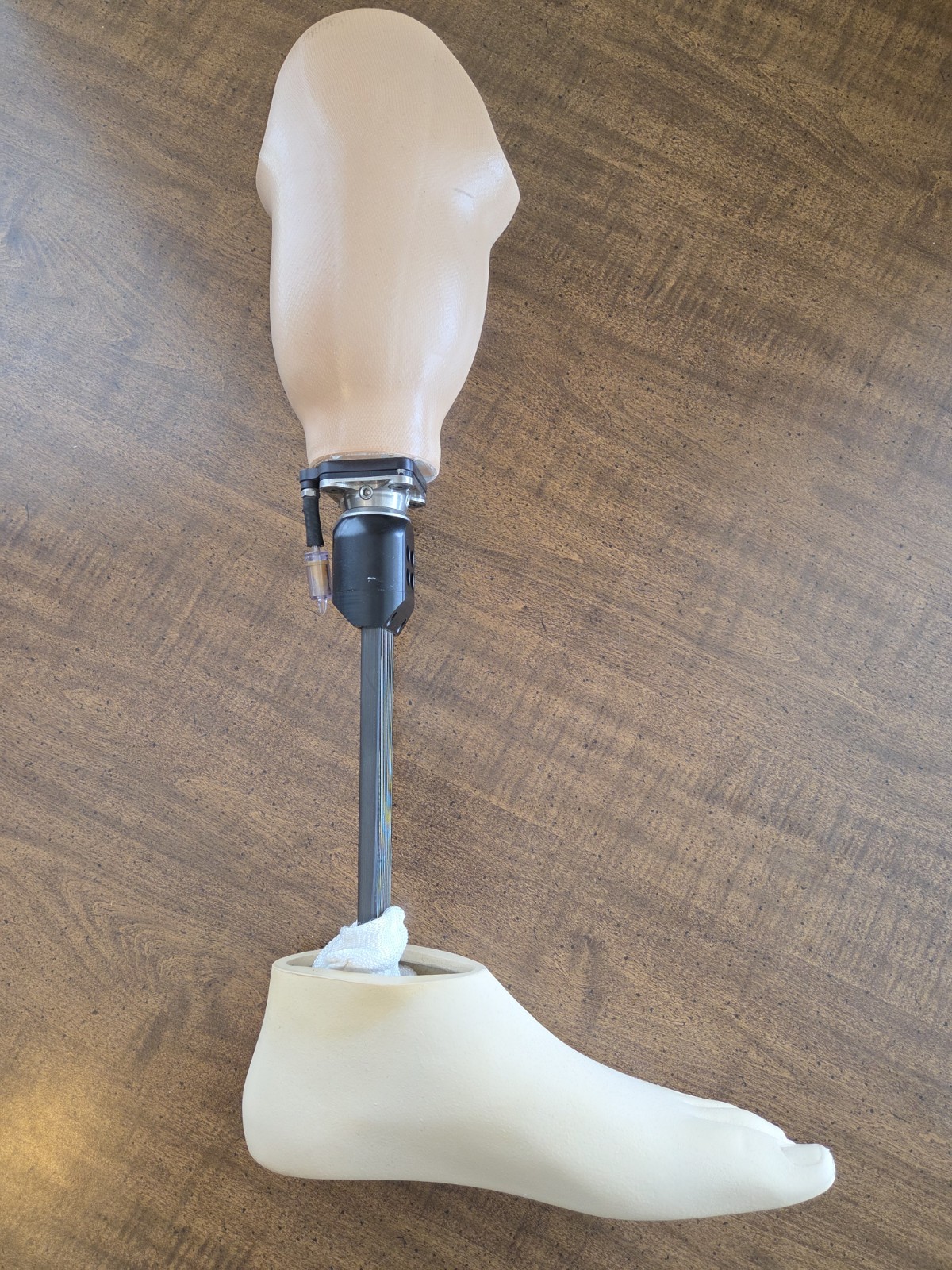 WillowWood Prosthetic below knee Leg With Left Foot Size 29