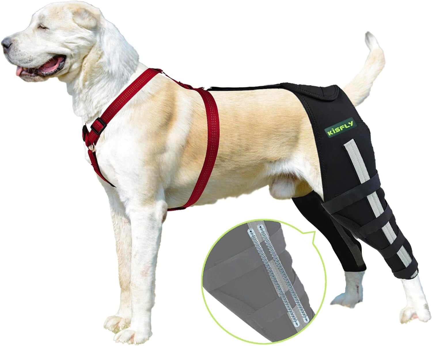 Rear Leg Braces Dogs Luxating Patella Joint Pain Knee Brace Both Legs Large