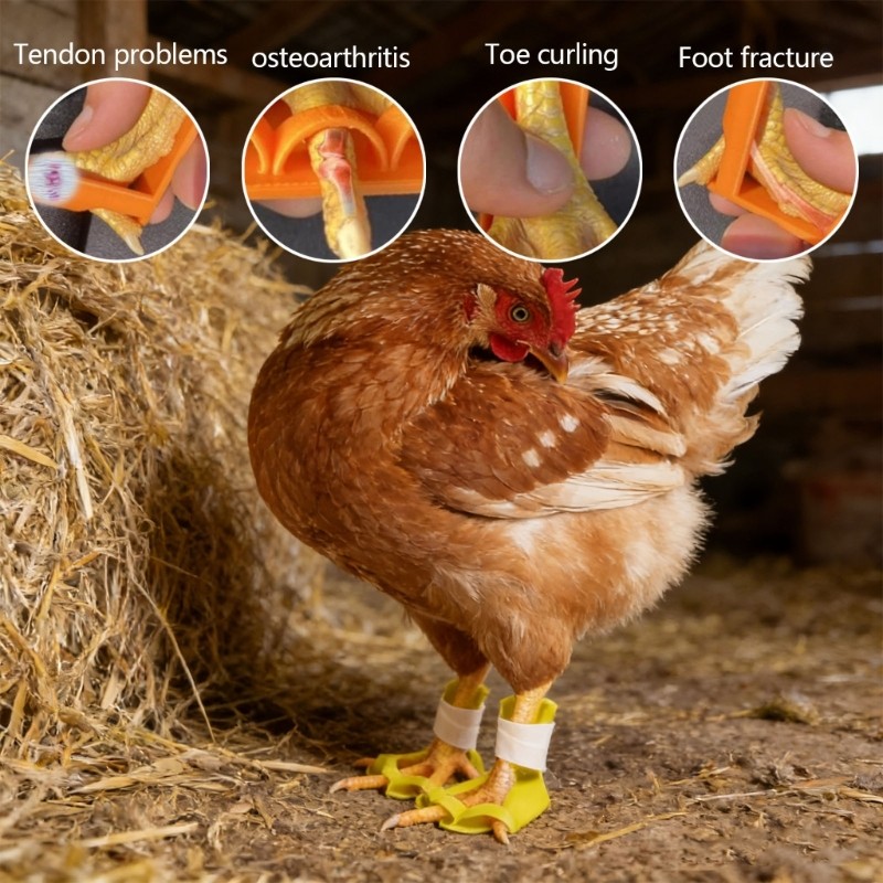 Pack of 4 Ventilated Chicken Leg Splints for Injury Amendment Modifiable Belts