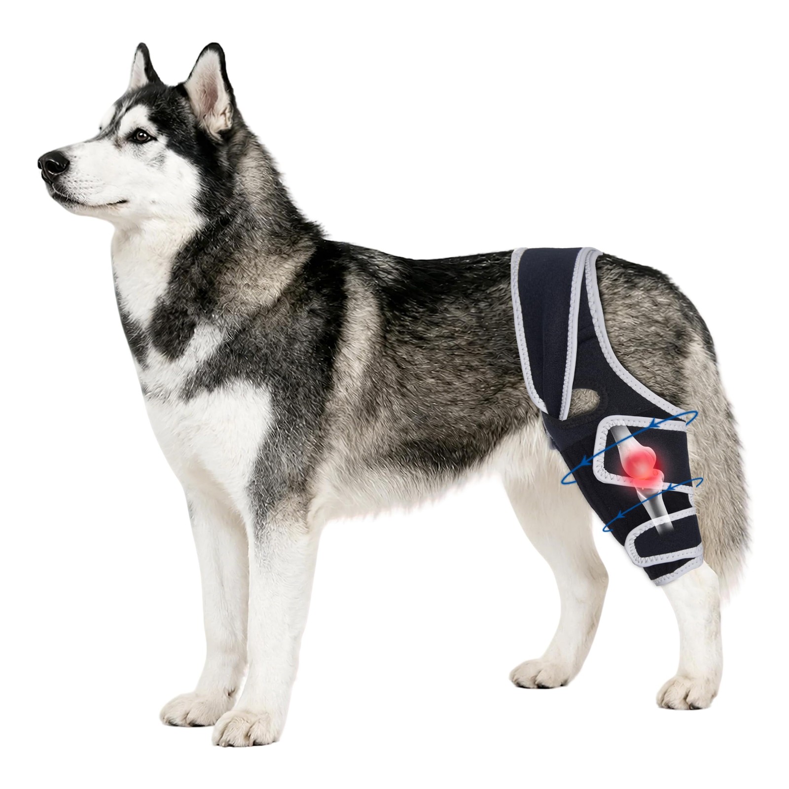 Adjustable Dog Hind Leg Knee Brace with Metal Side Stabilizers,(Size XL). | T…