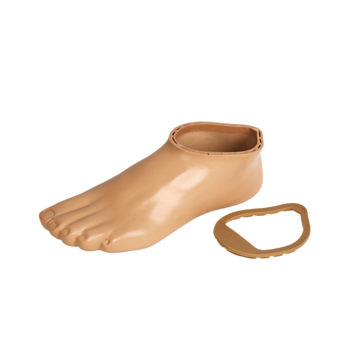 Premium Foot Shell w/ Cap Compatible OSSUR prosthetic Foot | Size 22–30cm| L/R