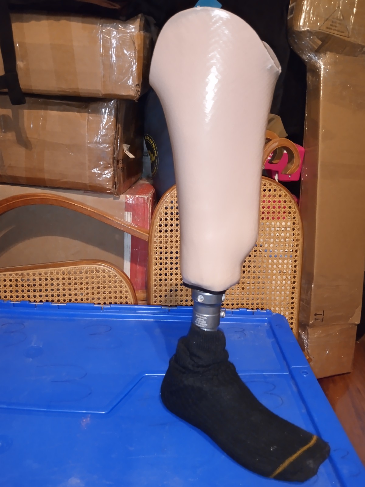 ABILITY Below The Knee Adult Prosthetic Carbon Fiber W/ Ottobock Titanium Ankle