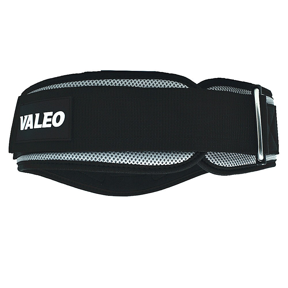 Heavy Duty Adjustable Lumbar Support Lower Waist Back Belt Brace Gym Pain Relief