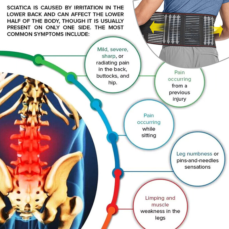 Adjustable Lower Back Brace Lumbar Support Waist Belt For Men /Women Pain Relief