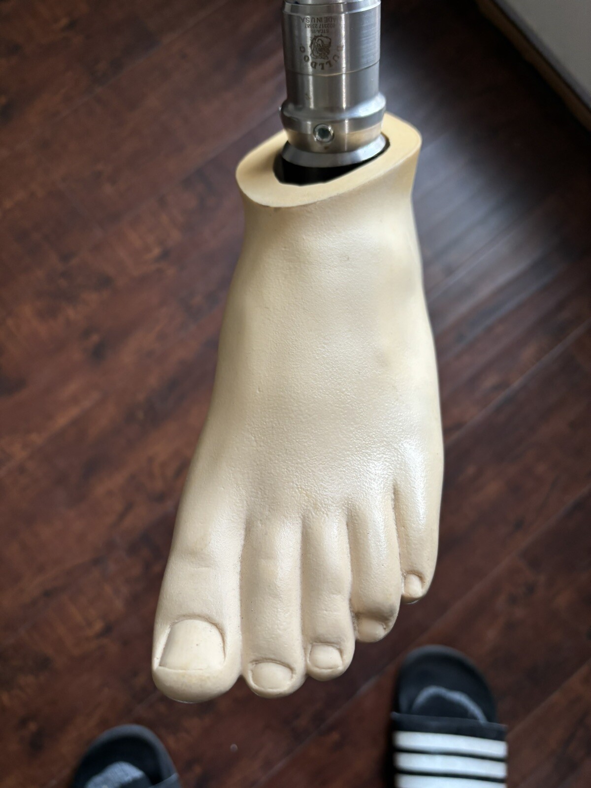 BULLDOG STCA-1S Prostetic Leg 25E 10 Medium