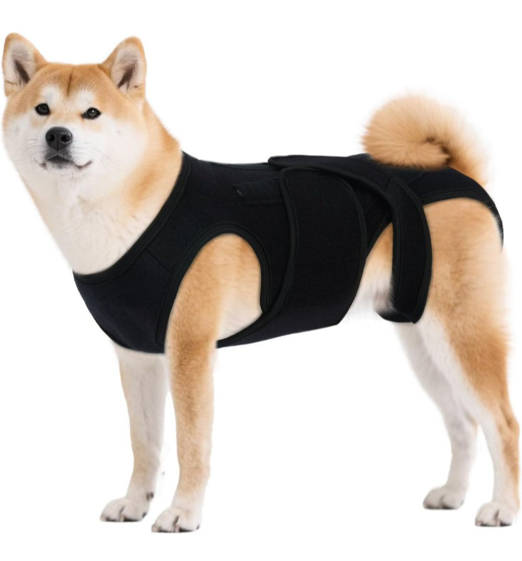 LeleTail Adjustable Back Support for Medium M Dogs – Joint Support Brace NEW