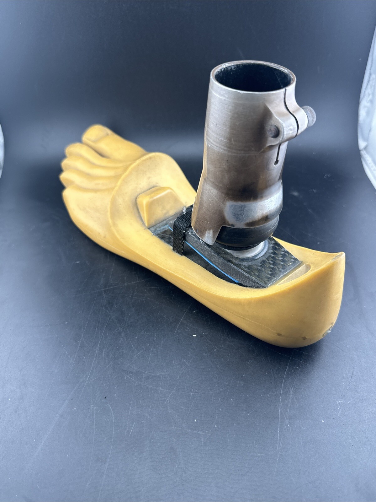 Endolite Blatchford Multiflex Multi Flex Size 29 DR-2 Prosthetic Foot