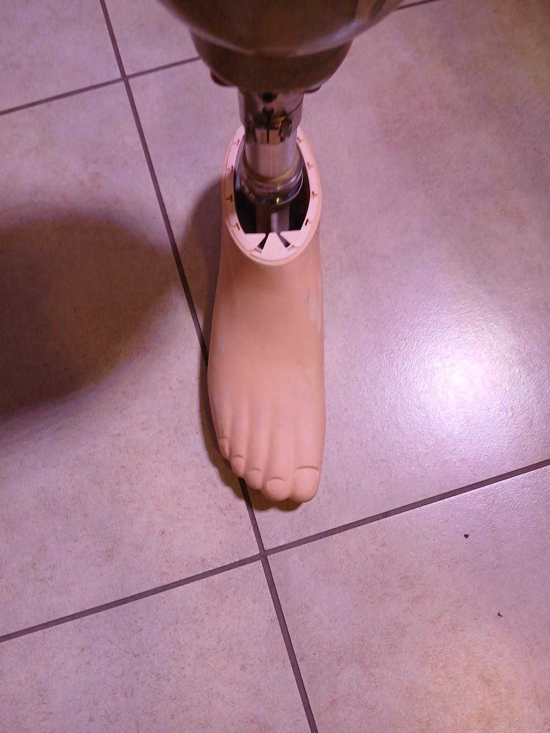 prosthesis leg
