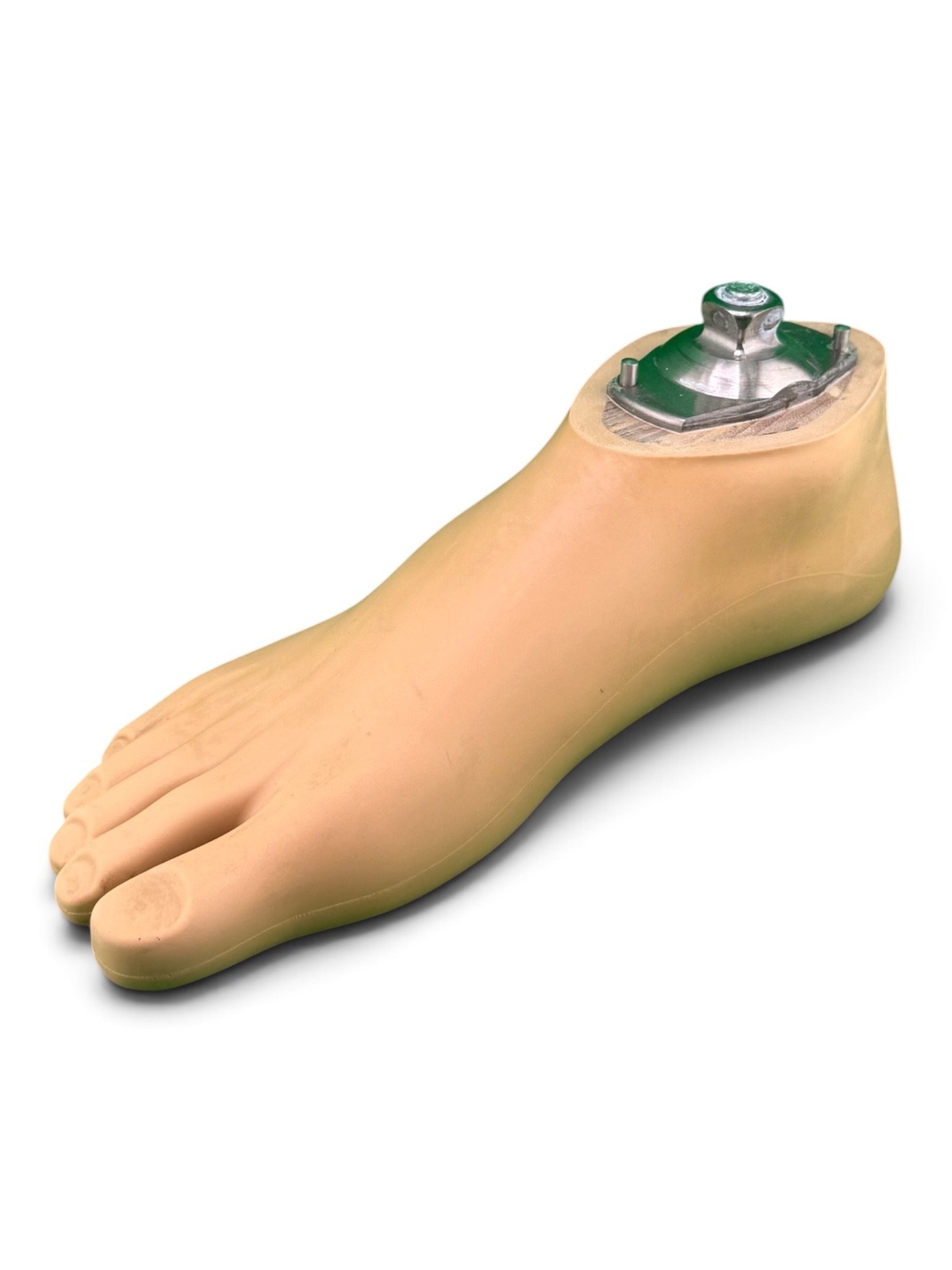 OTTOBOCK Otto Bock 1WR95 Water Prosthetic Foot. Size 25. Right Foot. Excellent