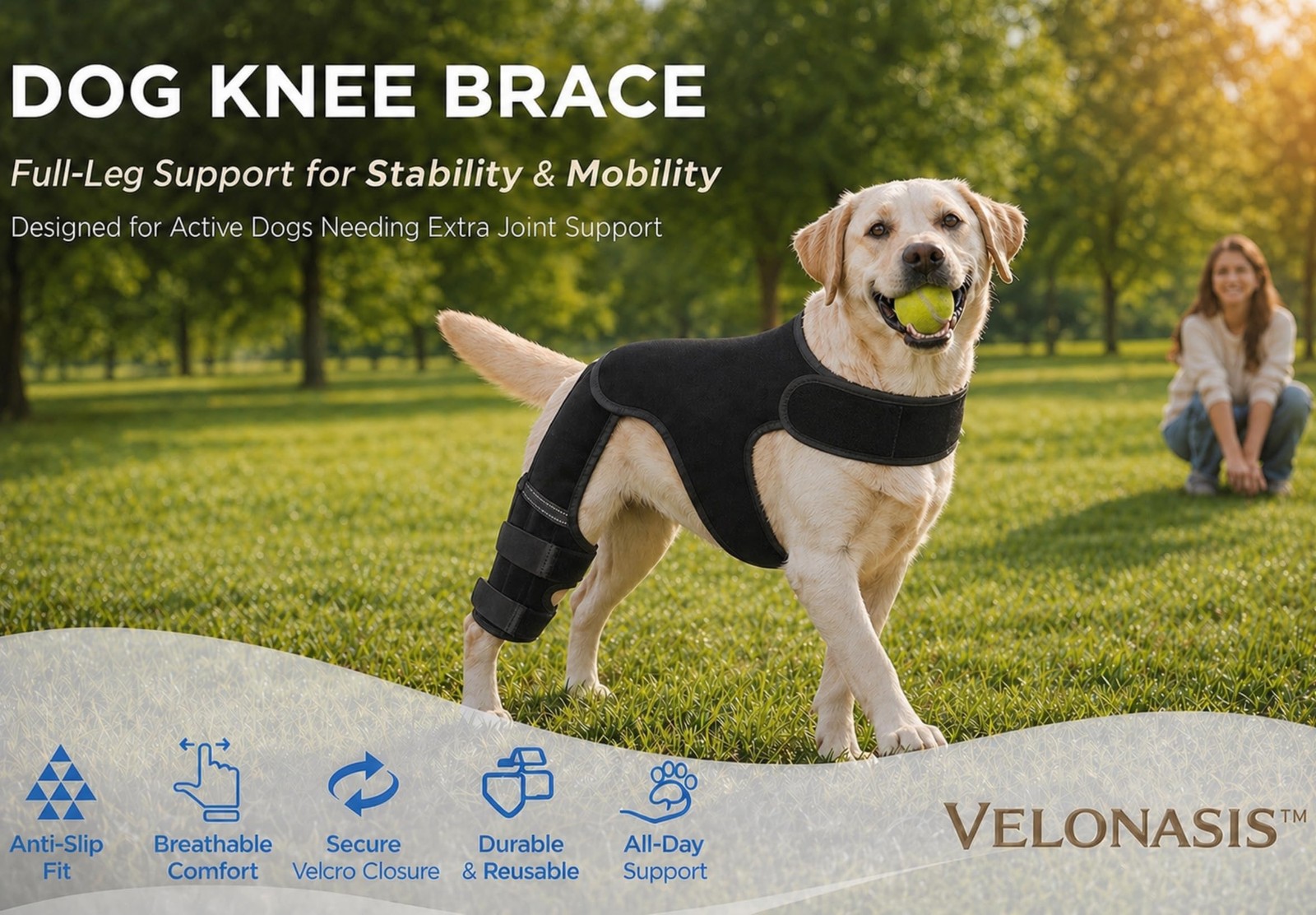 VELONASIS Dog Knee Brace for Rear Hind Legs ACL/CCL – Dual-Leg Support with 4…