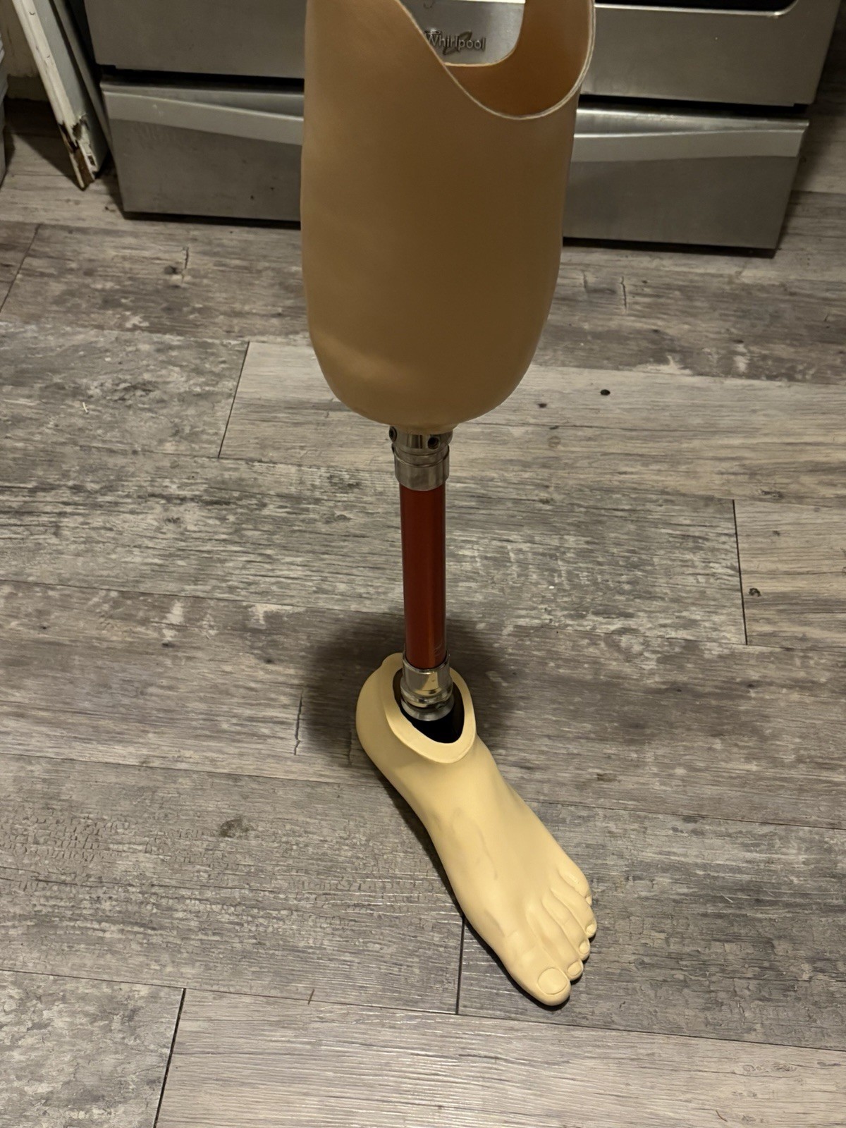 a transfemoral prosthesis (an artificial leg for an below the -knee amputation