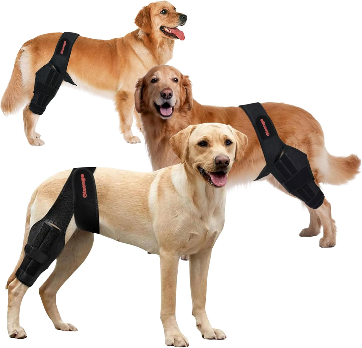 Dog Knee Brace for Torn ACL Hind Leg Dog Knee Braces for Back Leg Torn ACL Knee