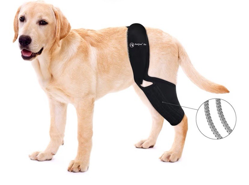 Knee Brace for Dogs ACL with Side Stabilizers,Knee Cap Dislocation, Arthritis XL