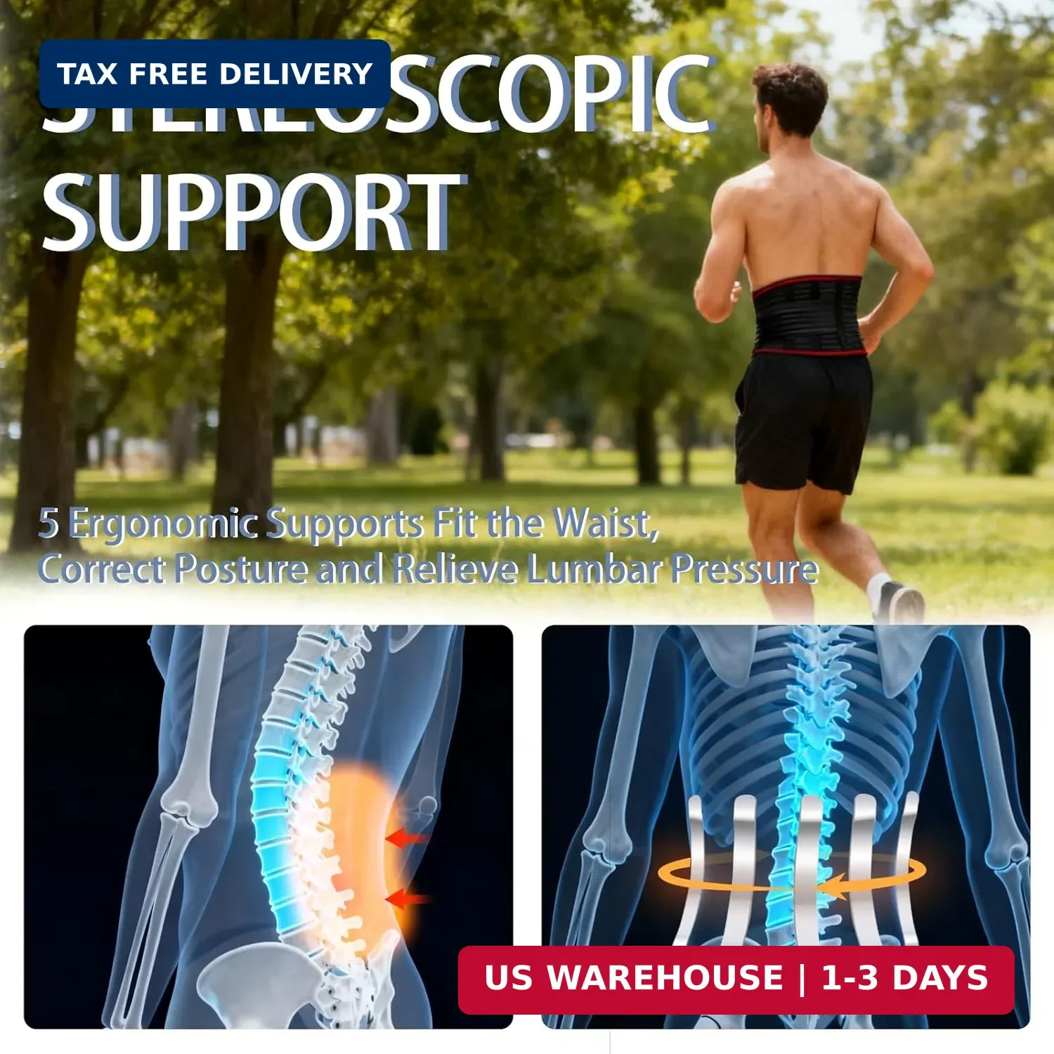 Back Support for Low Back Pain, Waist Support Back Support belt, for Scoliosis a