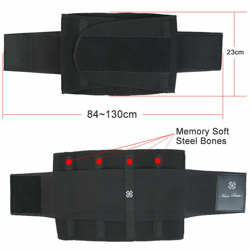 Back Support Lower Back Brace Pain Relief Lumbar Support Belt Sciatica Men/Women