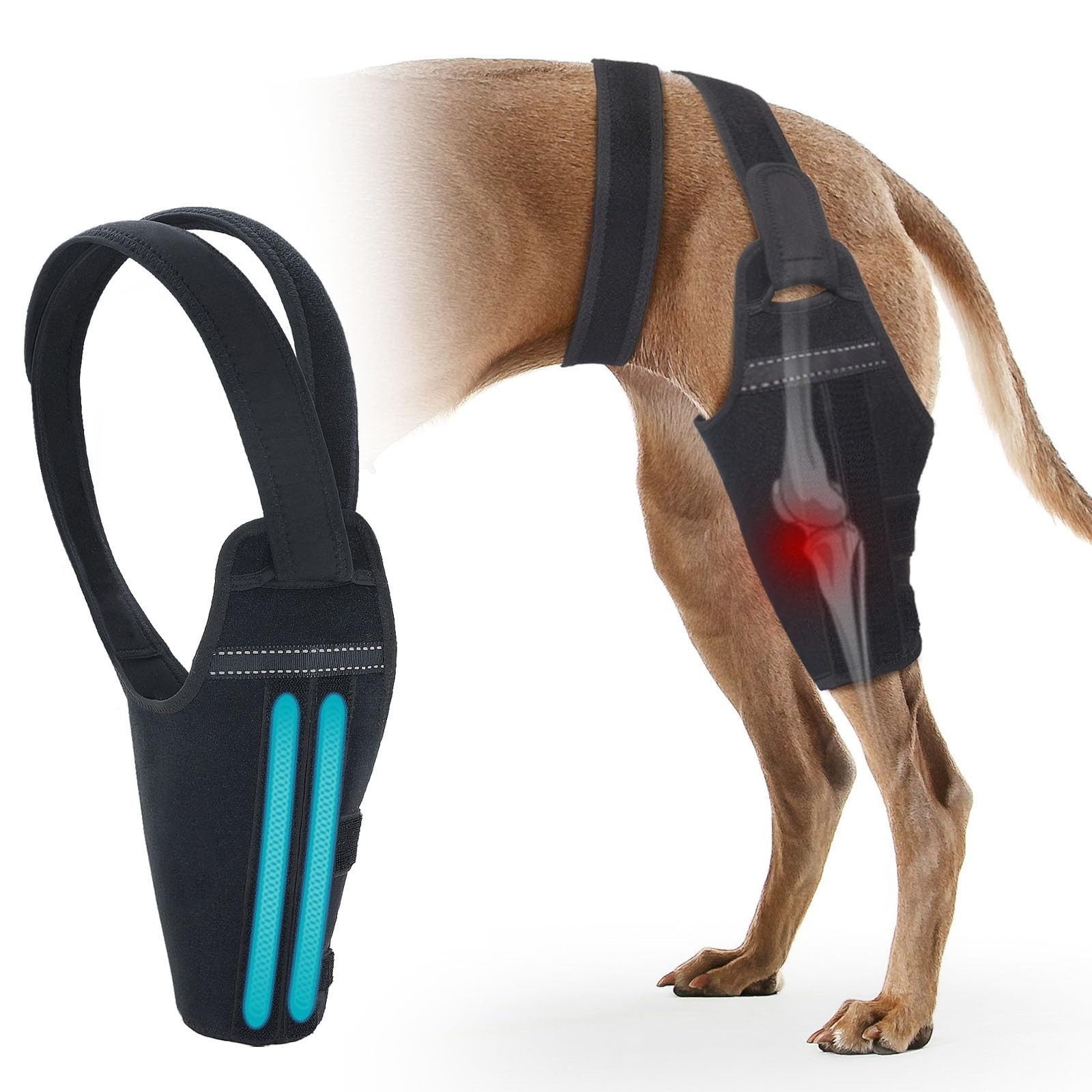 Dog Knee Brace for Torn ACL – Adjustable Support for Hind Leg, Pain Relief, Stab