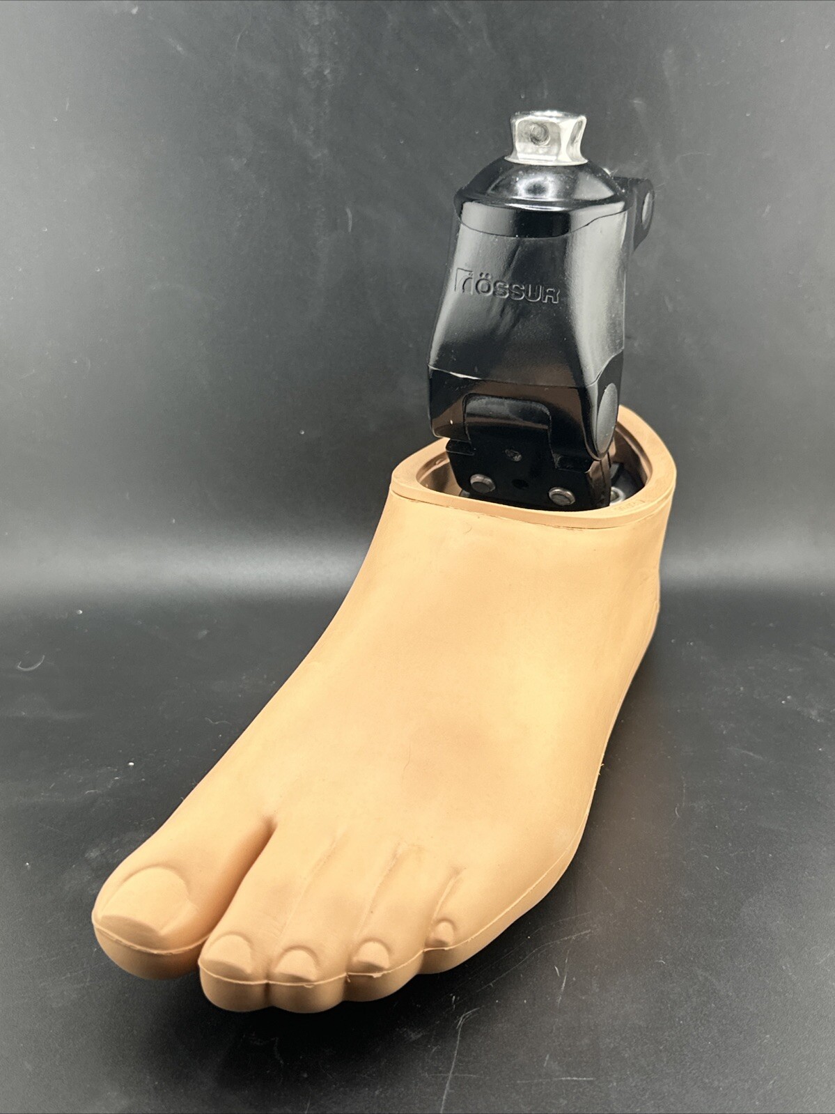 Ossur Proflex Pro-flex Pivot Prosthetic Foot. Size 25. Left. Category 2