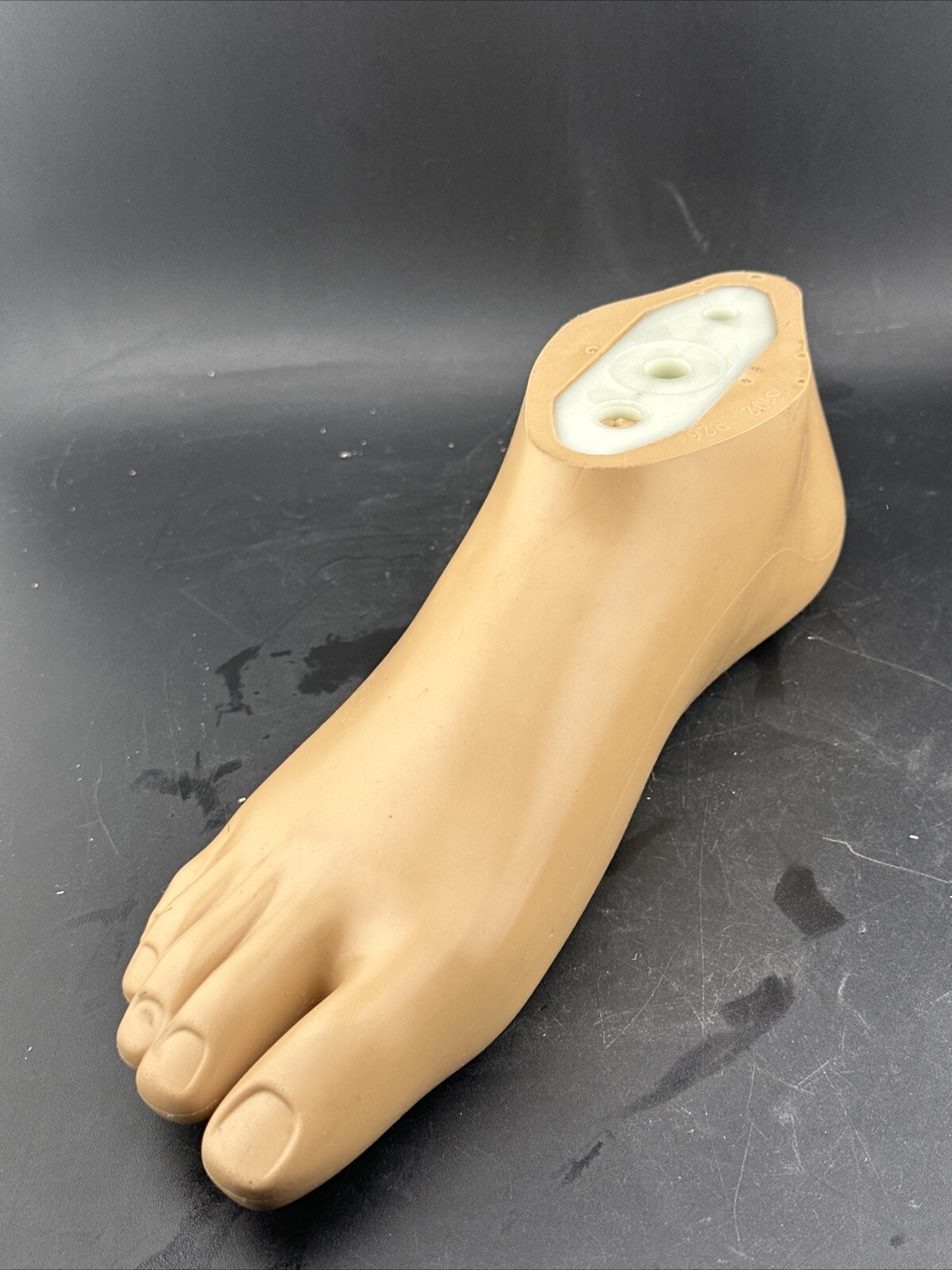 Ottobock OTTO Bock Sach Prosthetic Foot 1S102 Size 26 Right Max Weight 275 Pound