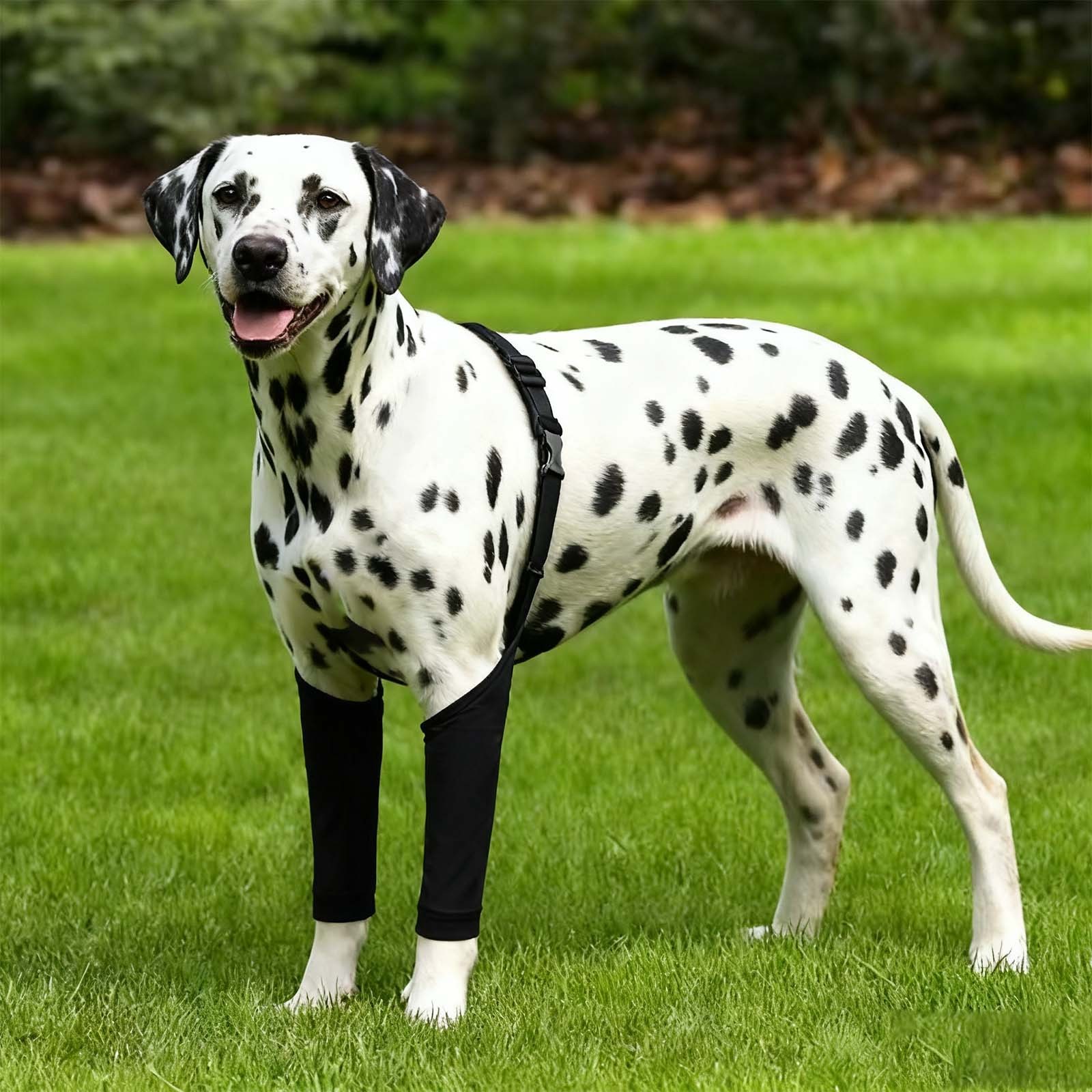 Dog Leg Sleeves, Suit for Front Legs (2XL, Yellow Black Stripes, Polyester)