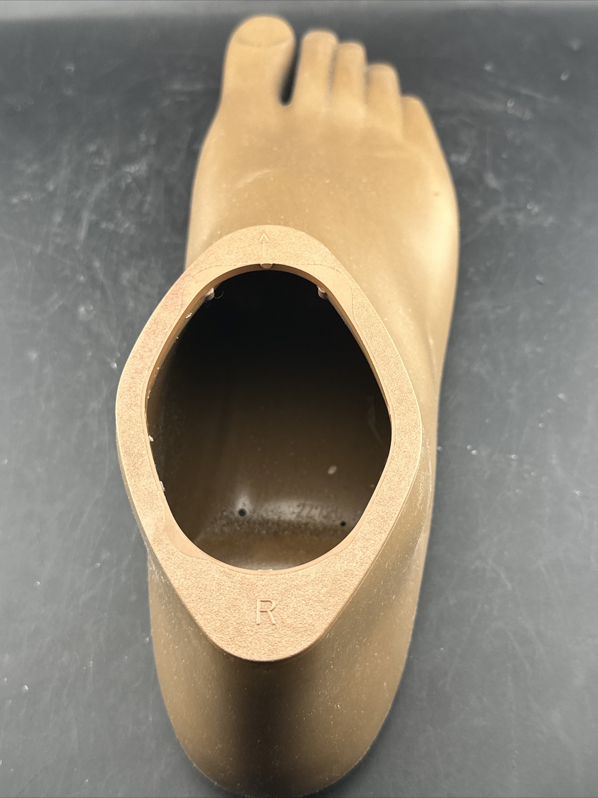 Ottobock Otto Bock Taleo Vertical Prosthetic Foot. 1C51. Perfect. Size 30