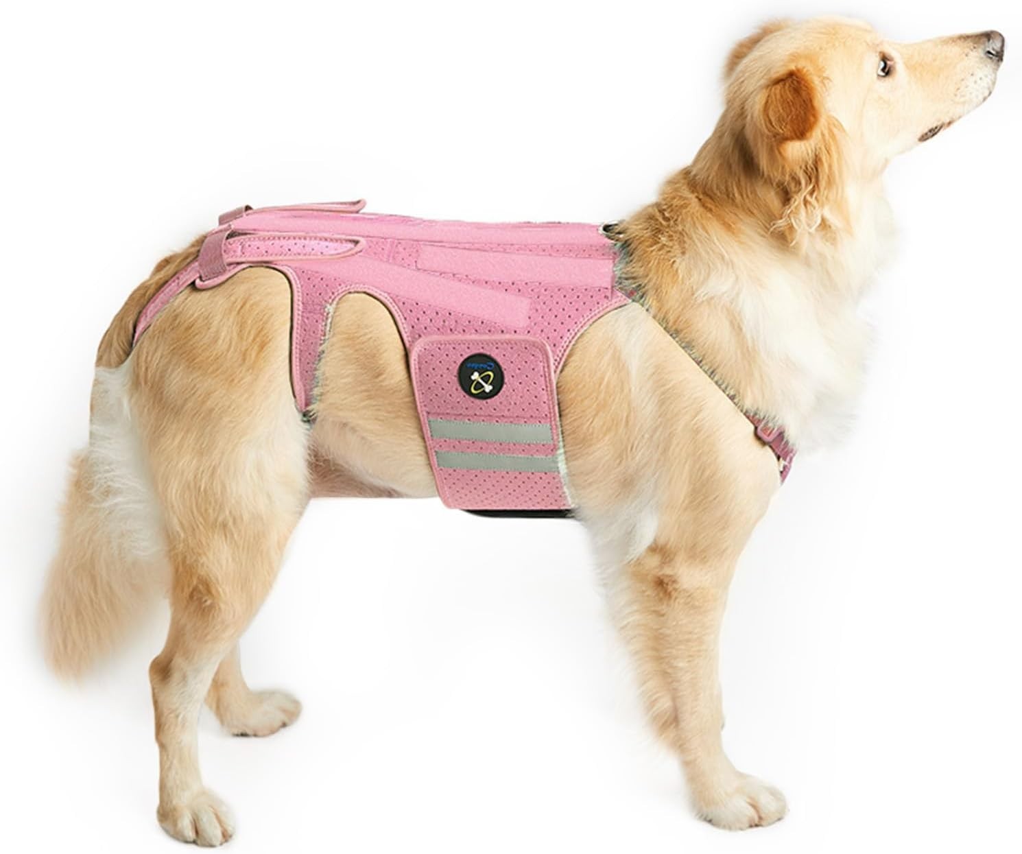 *NEW* Dog Back Brace ~ Arthritis ~ INDD ~ Rehab ~ Recovery ~ Pink ~ Small