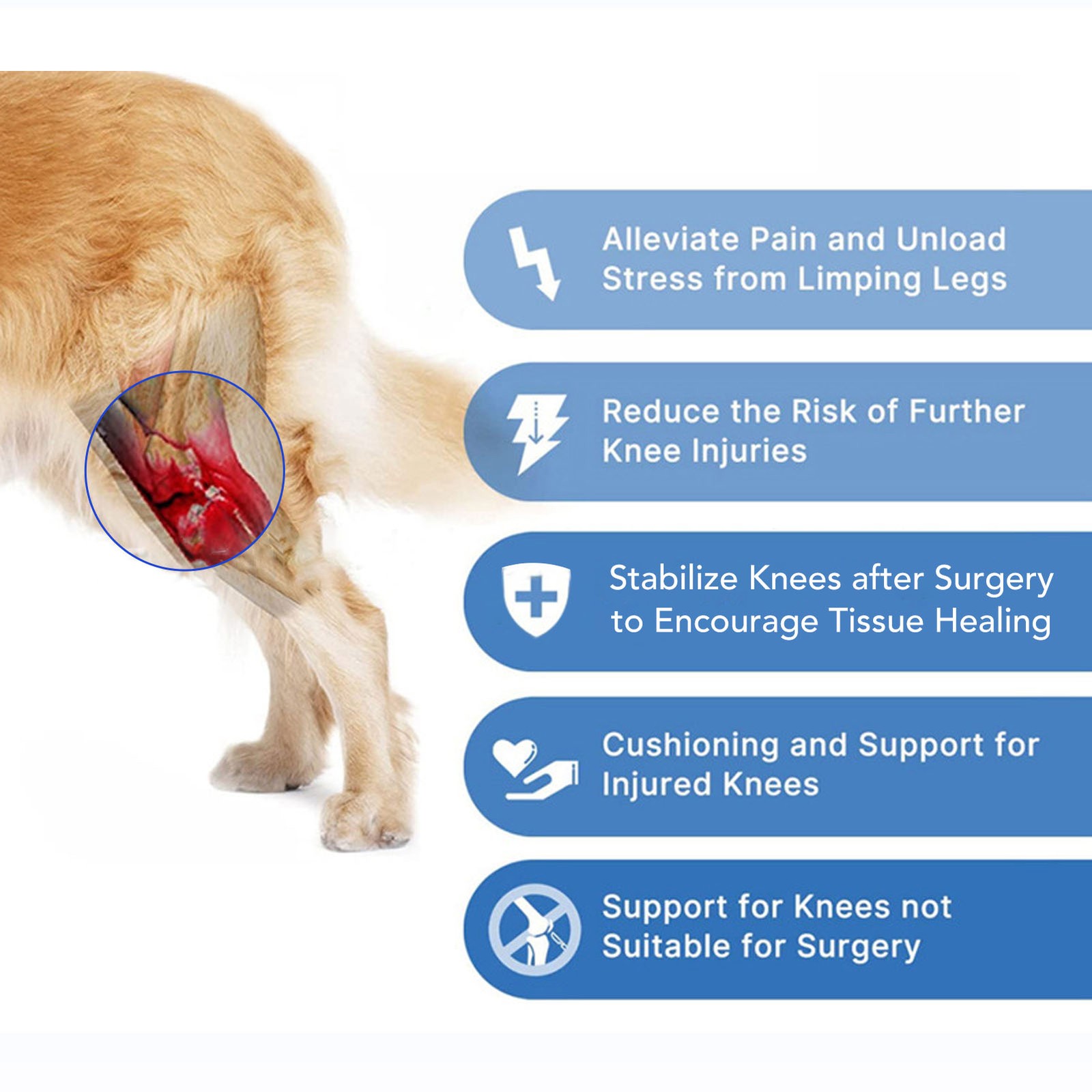 Dog Knee Brace Adjustable Back Strap Dog Hind Leg ACL Brace For CCL