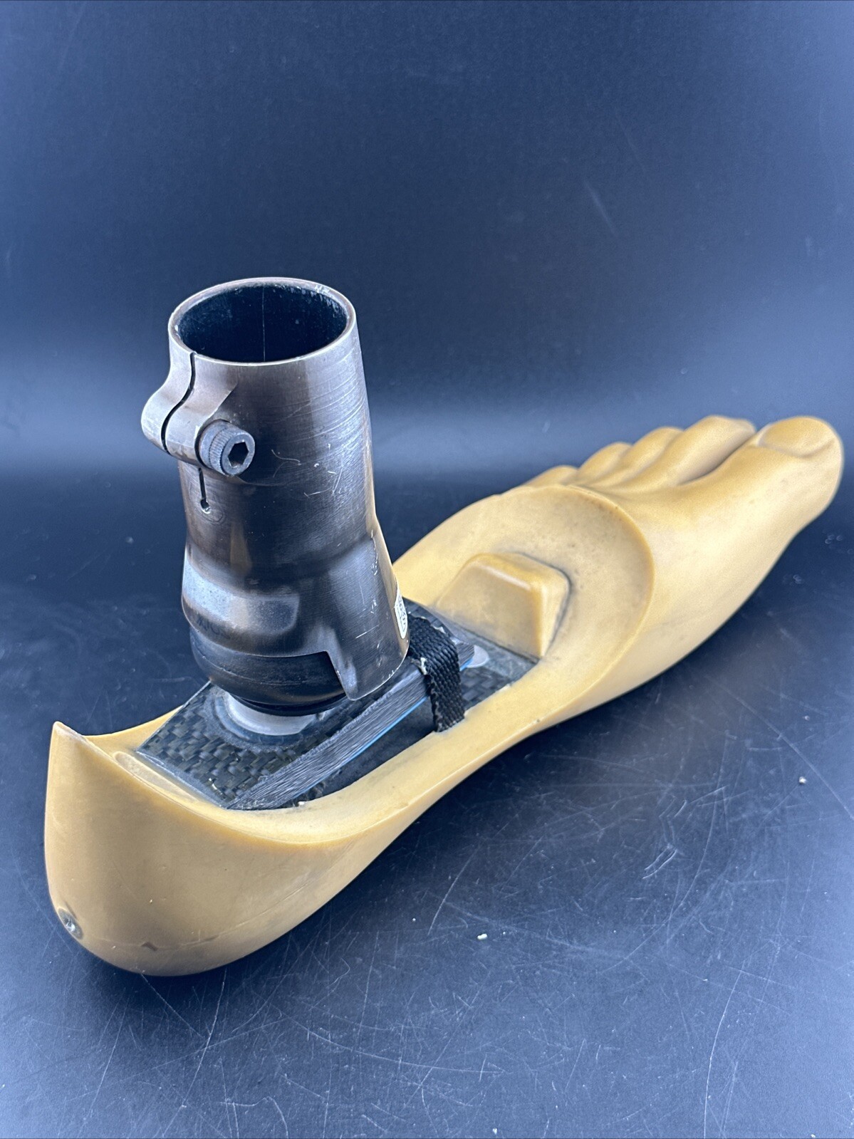 Endolite Blatchford Multiflex Multi Flex Size 29 DR-2 Prosthetic Foot