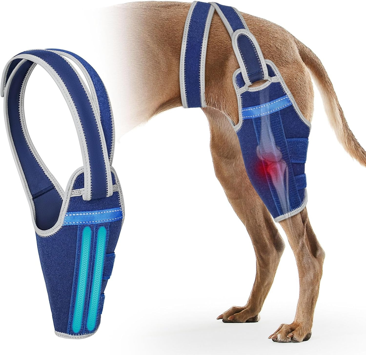 Dog Knee Brace for Torn ACL Hind Leg – Support Dog Leg Brace for Back Leg with 2