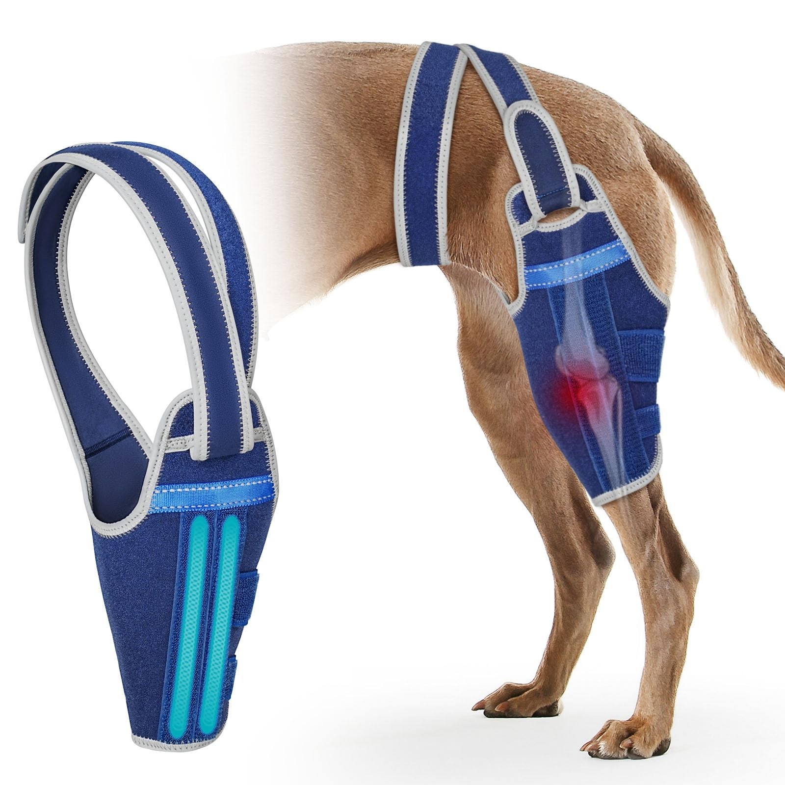 Adjustable Dog Knee Brace for Torn ACL – Support for Hind Leg, Pain Relief, Liga