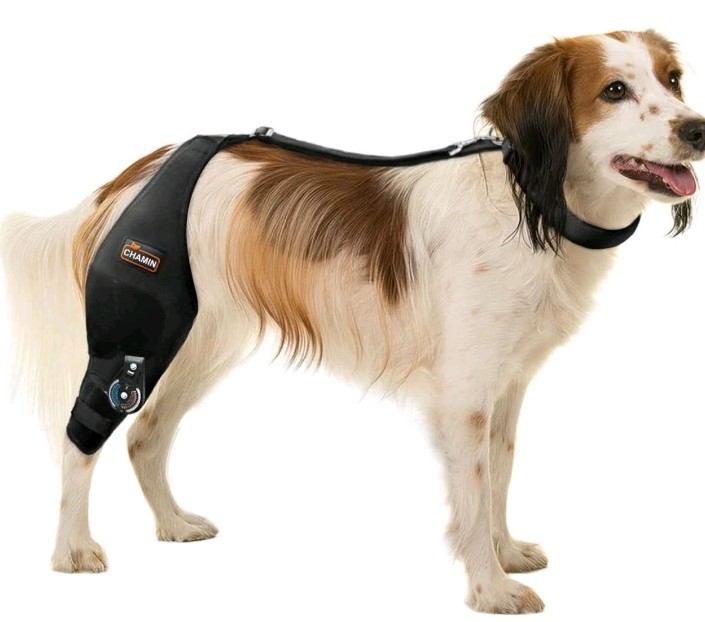 CHAMIN Adjustable Dog Knee Brace for Torn ACL Hind Leg, Support for Tear…