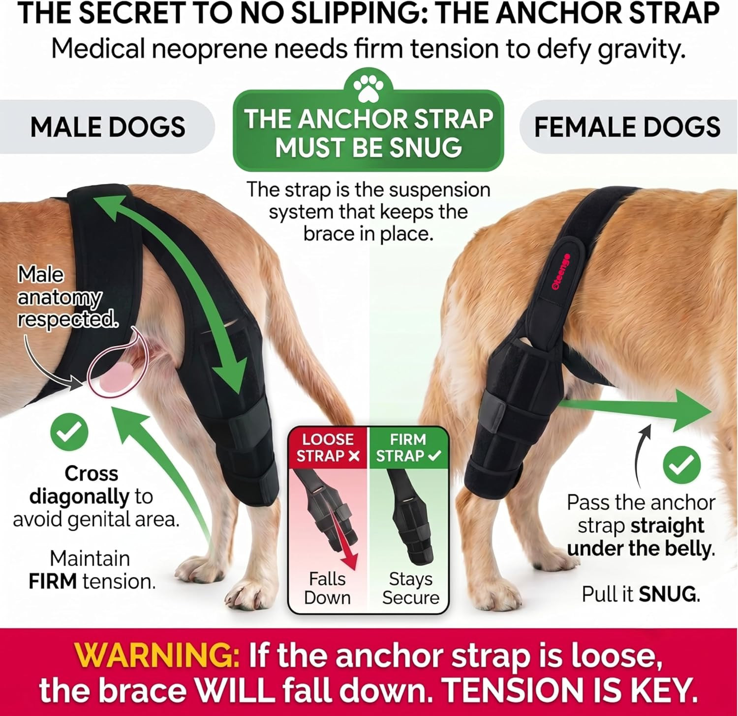Dog Knee Brace for Torn ACL Hind Leg Dog Knee Braces for Back Leg Torn ACL Knee