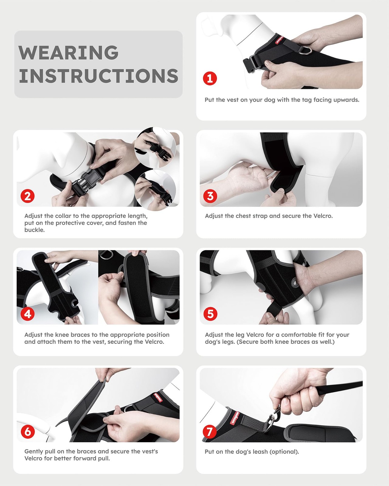seangonna Dog Knee Brace M