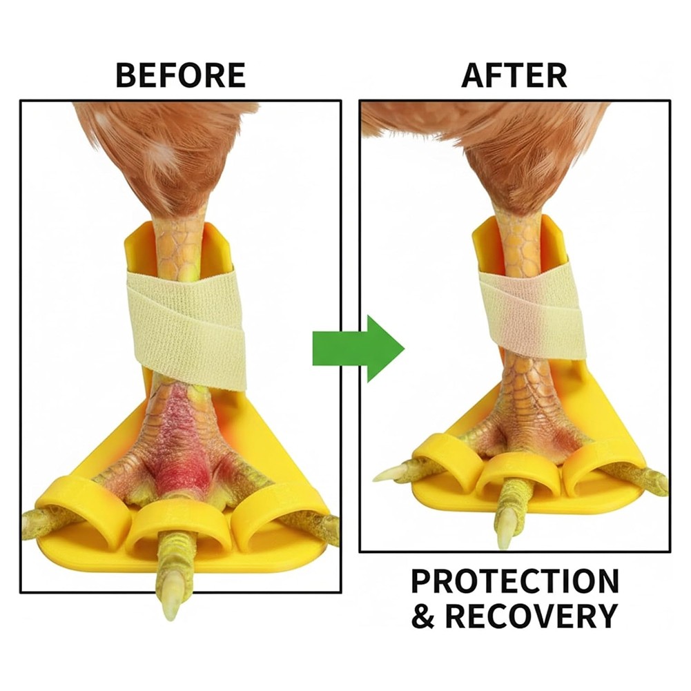 8 PCS Chicken Leg Splint Adjustable Poultry Leg Brace for Treats Broken9221