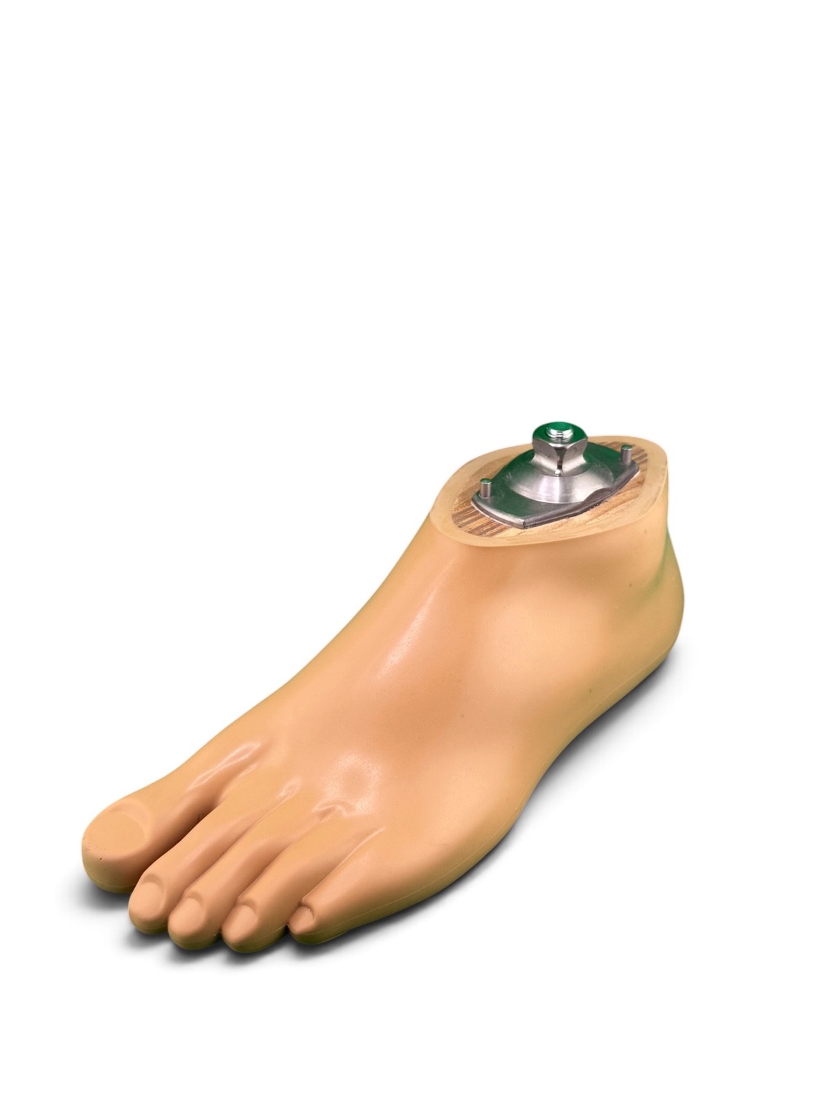 OTTOBOCK Otto Bock 1WR95 Water Prosthetic Foot. Size 26. Left Foot. Excellent