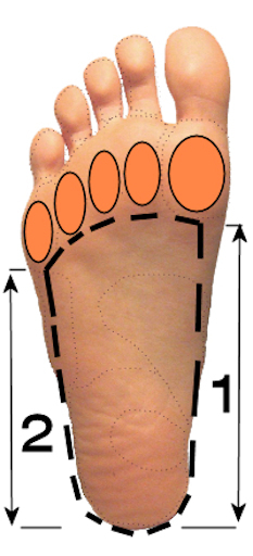 Foot Arch support – Pre-made POLYpropylene size 5 – 13, optional cover flat heel