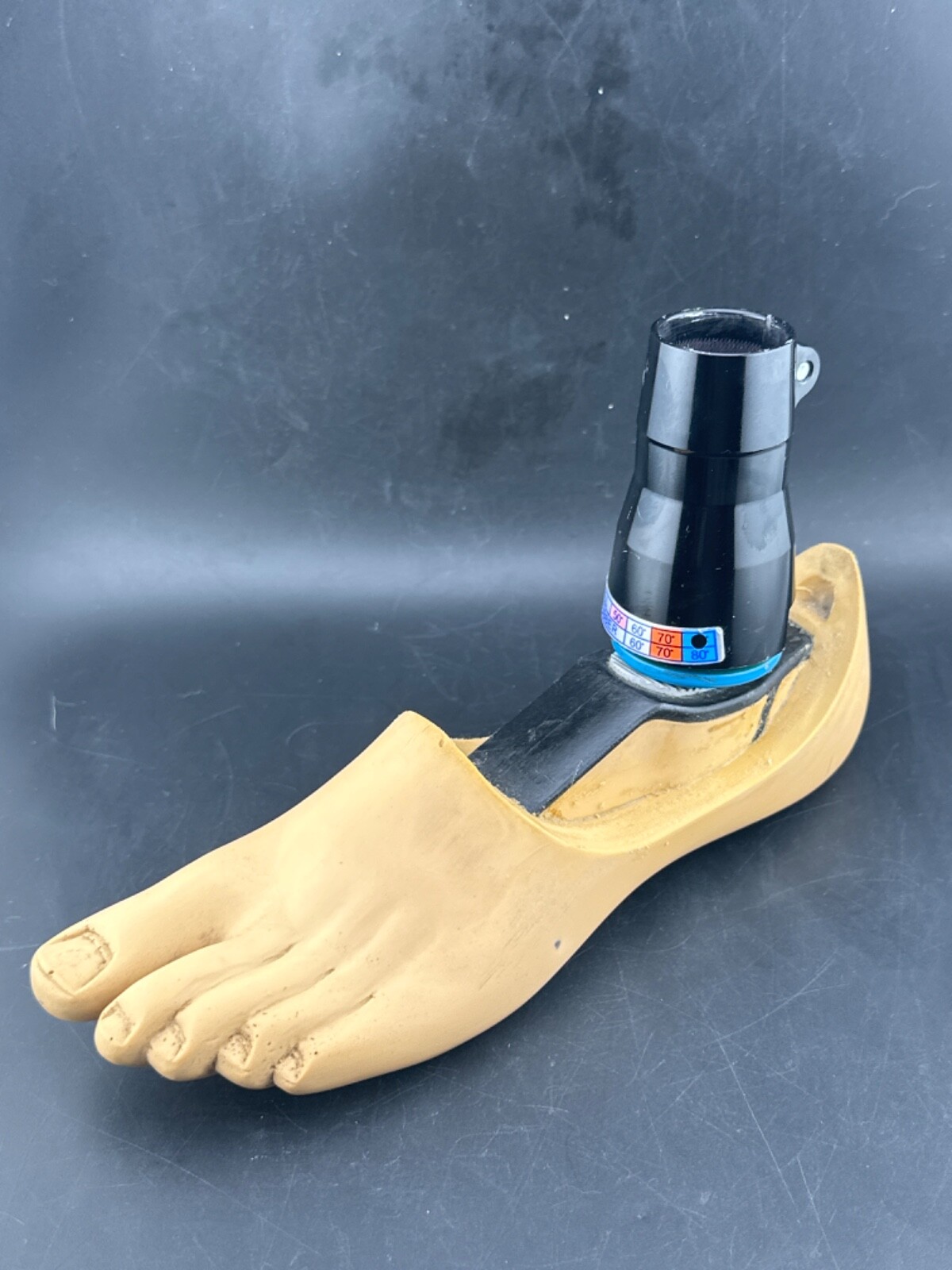 Blatchford endolite Multiflex mult flex prosthetic foot. Left size 24cm