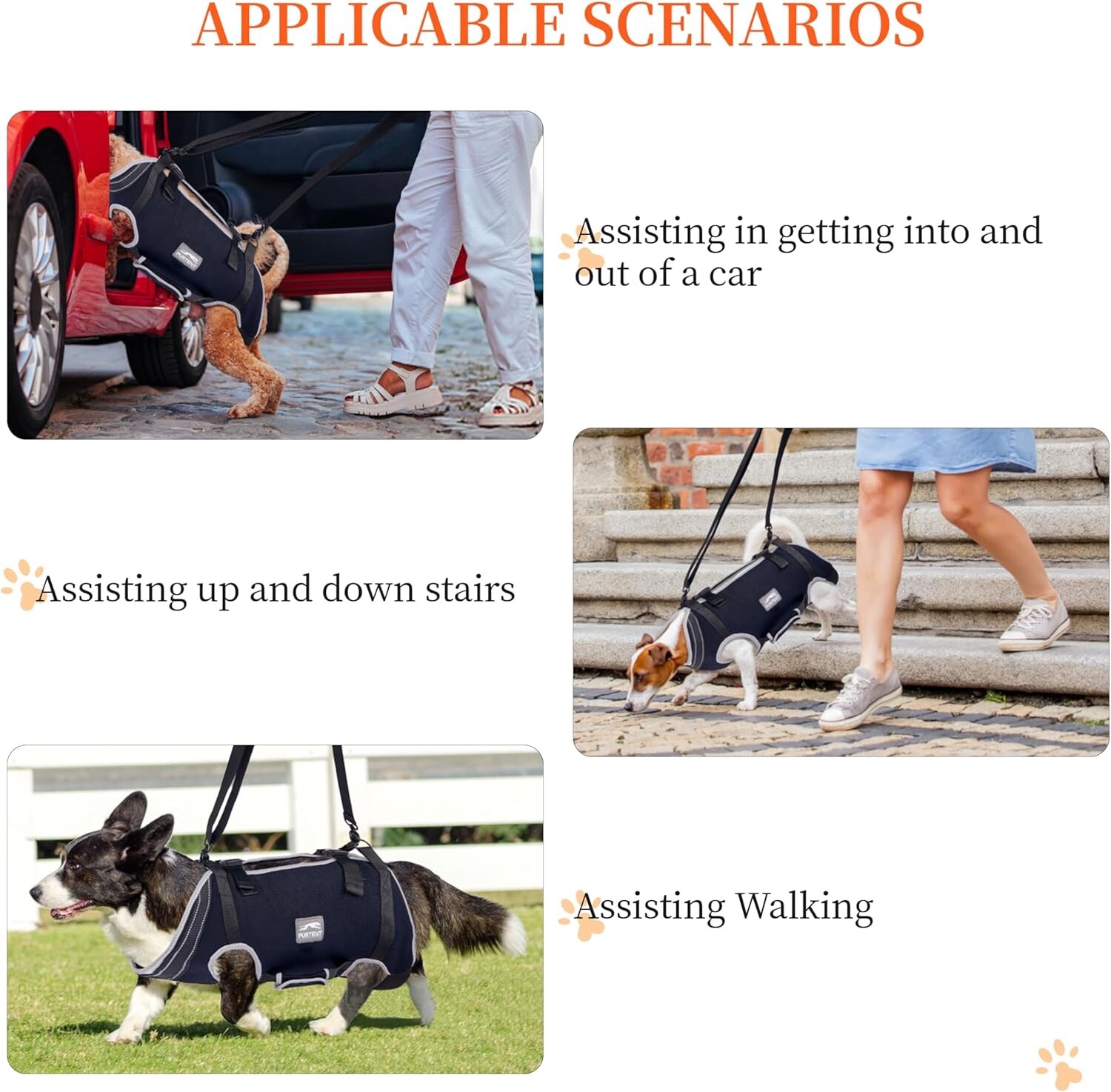 Furtent Dog Lift Harness with Handle – Dog Support Harness Medium