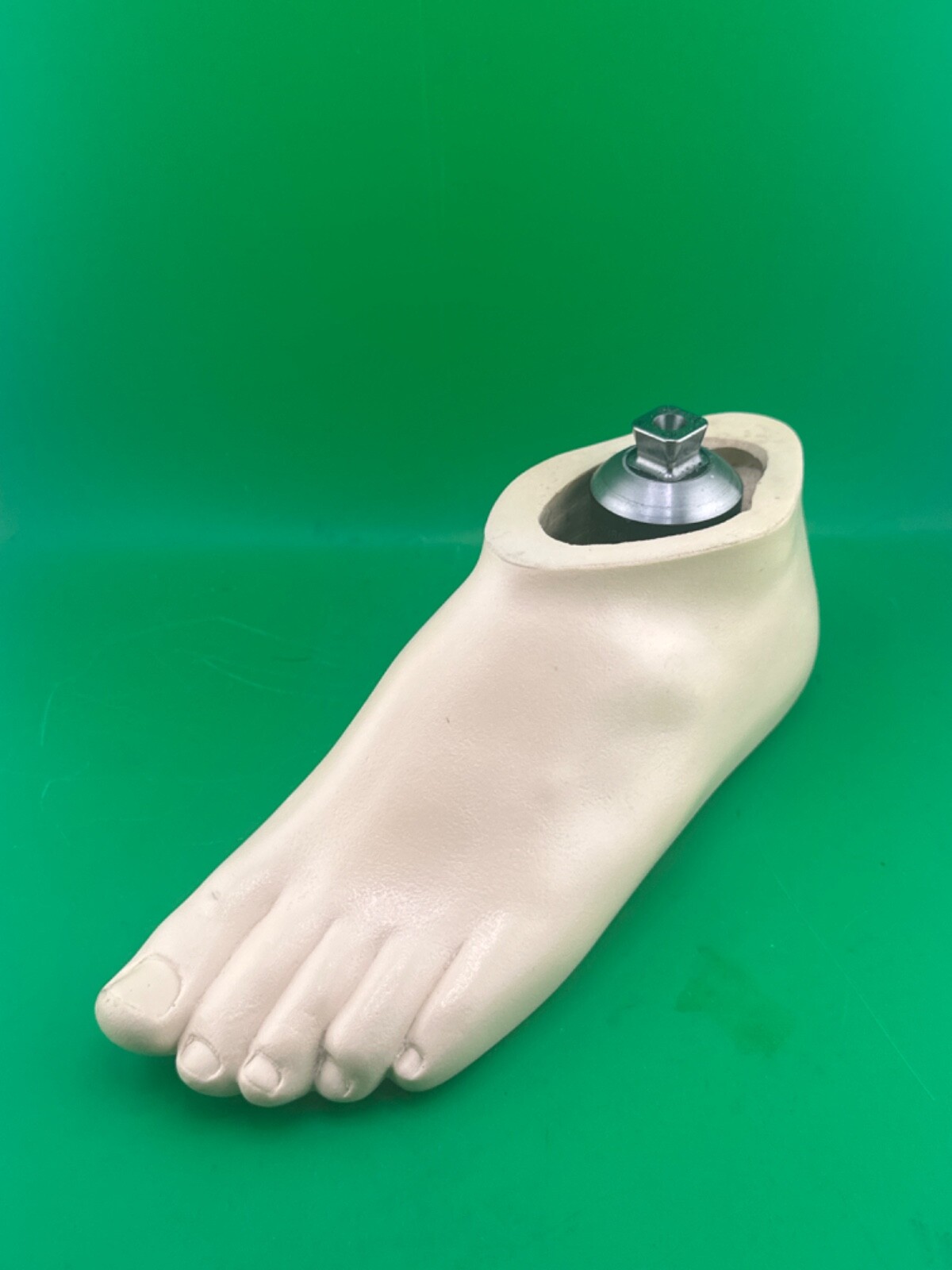 Ohio Willow Wood willowwood SACH Prosthetic foot size 25. Left. Great Cond