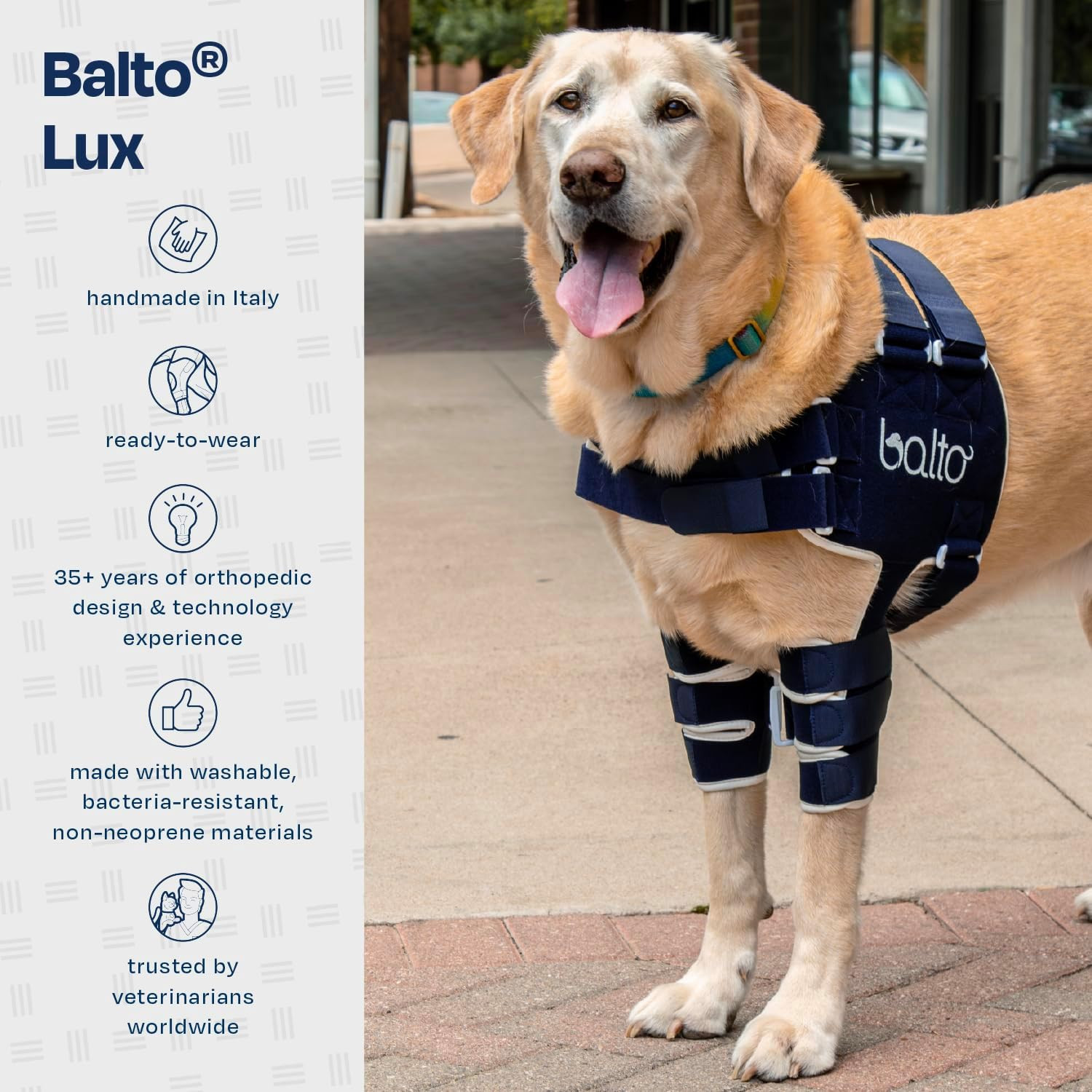 Lux Adjustable Dog Shoulder Brace – Shoulder Brace – Support Shoulder Dysplasia