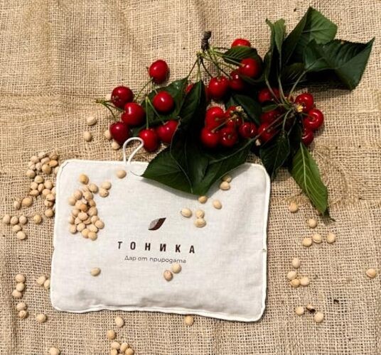Tonika Cherry Kernels Pillow 250g Suitable for Neck & Joint Pain + Natural