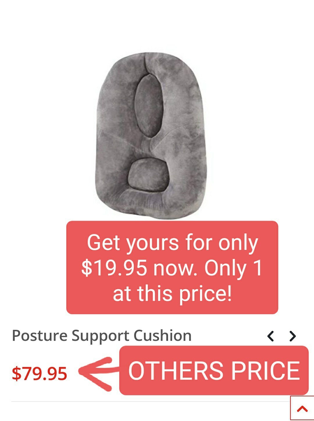 Back / Lumbar Support Cushion for Home Office Car Seat Back Chair Pillow Was $79