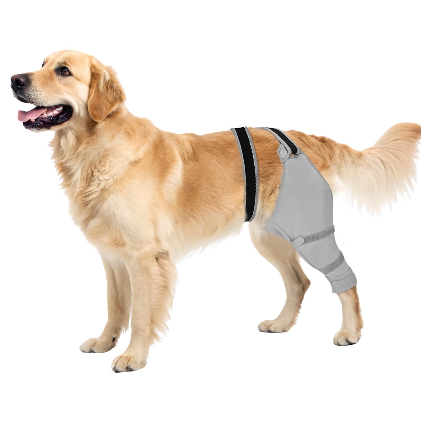 Joypig Grey Left Leg Dog Sleeve 2XL