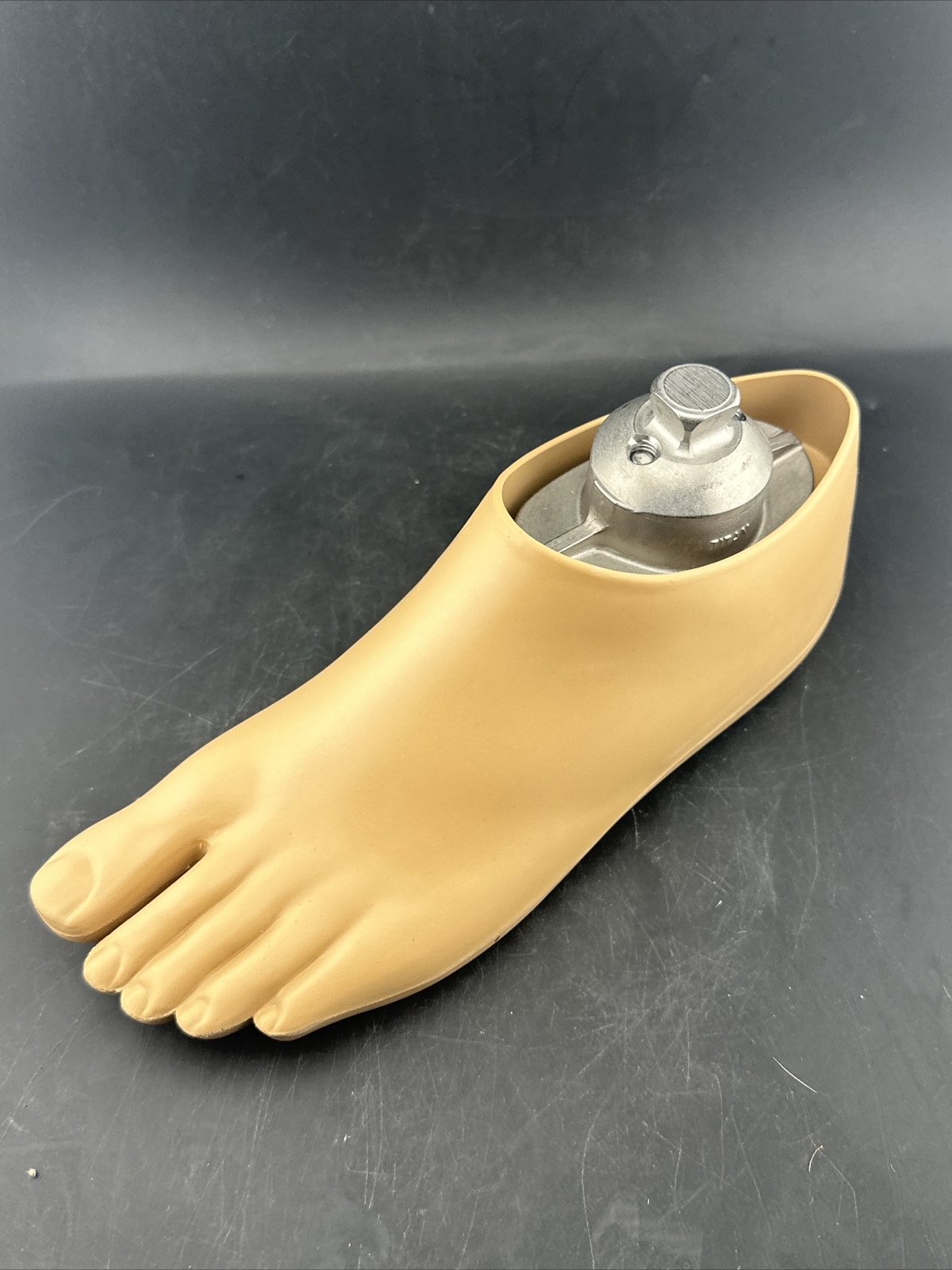 OTTOBOCK Otto Bock Greissinger Prosthetic Foot. Left Size 24 1A30 Perfect