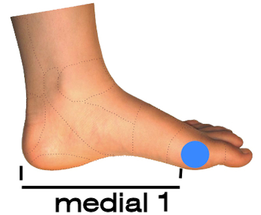 Foot Arch support – Pre-made POLYpropylene size 5 – 13, optional cover flat heel