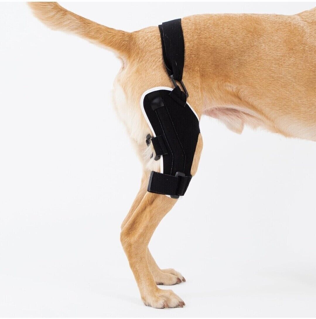Poveo Orthopedic Dog Hinged Knee Brace w/ Patella Tracker Right Leg 4XL 85Lbs+