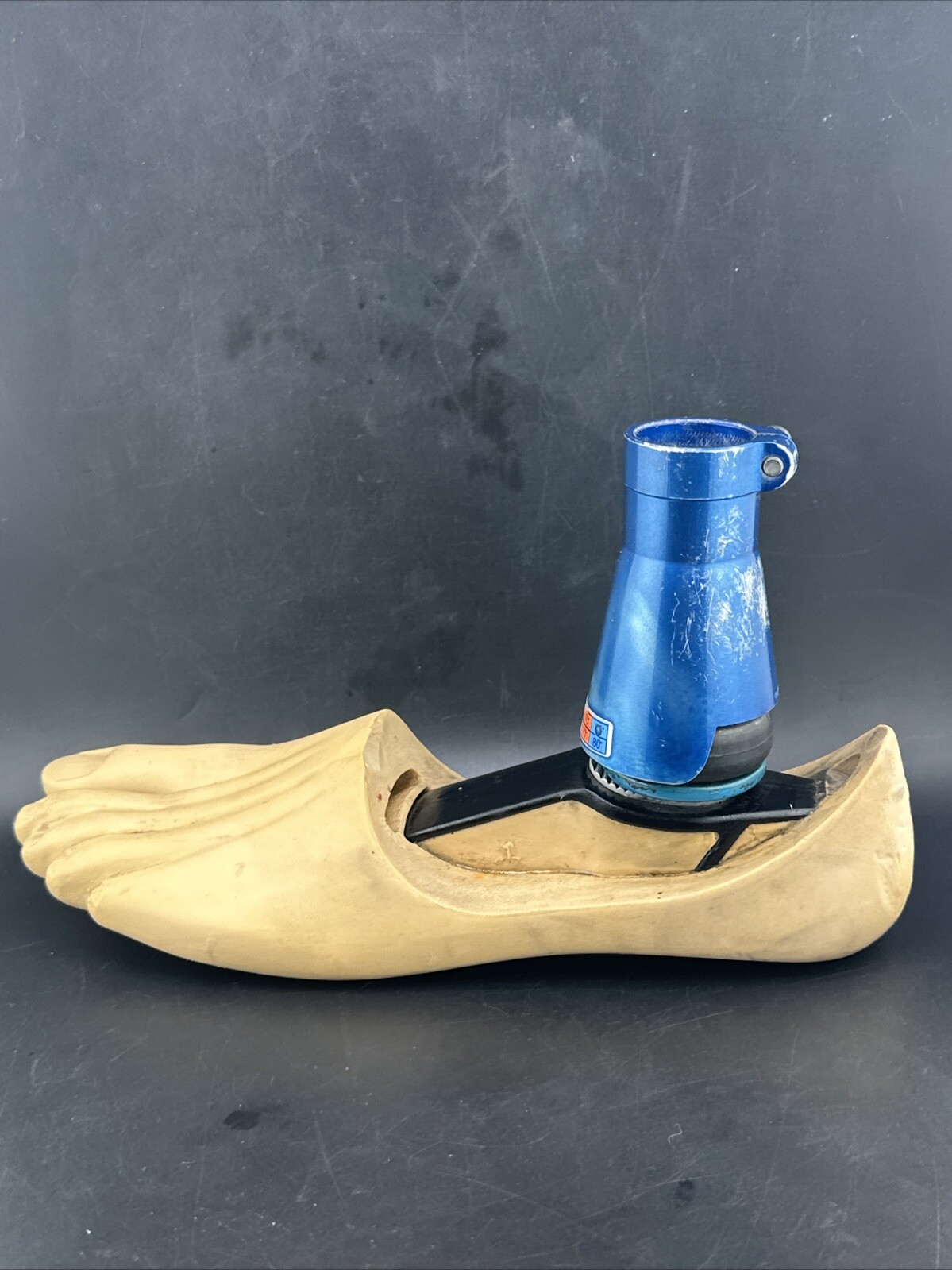 Blatchford Endolite Multiflex Multi Flex Prosthetic Foot. Left Size 26 Good Cond