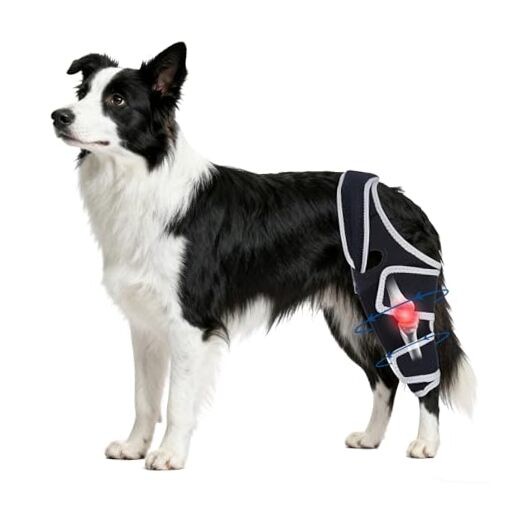 Dog Knee Brace for Torn Acl Hind Leg,Adjustable Four-Legged Universal Dog Knee