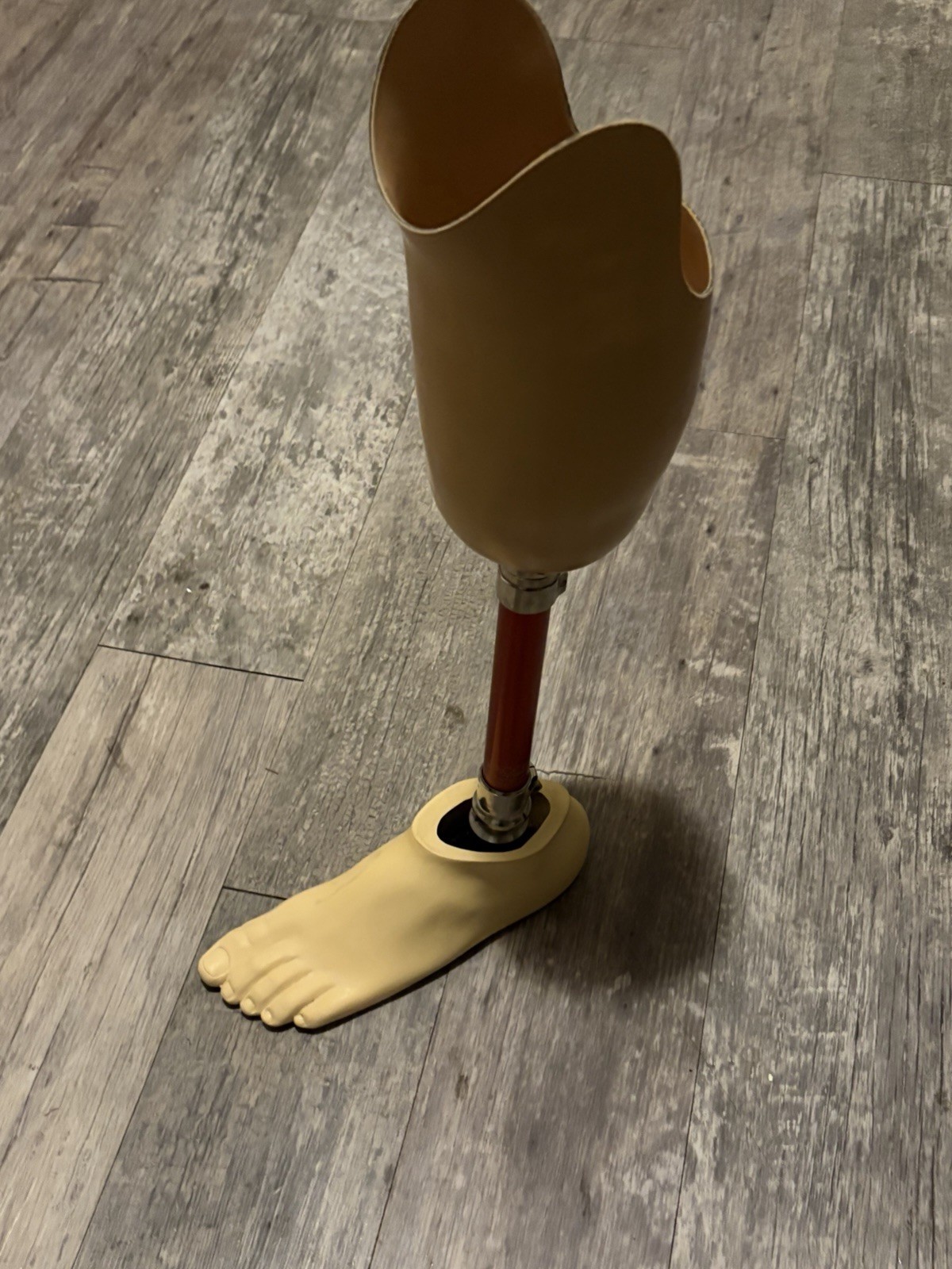 a transfemoral prosthesis (an artificial leg for an below the -knee amputation