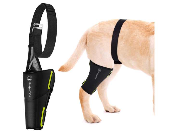 BaoGuai DOG Neoprene Leg Wrap KNEE BRACE Pro Black Large Support CL CCL DT5K3